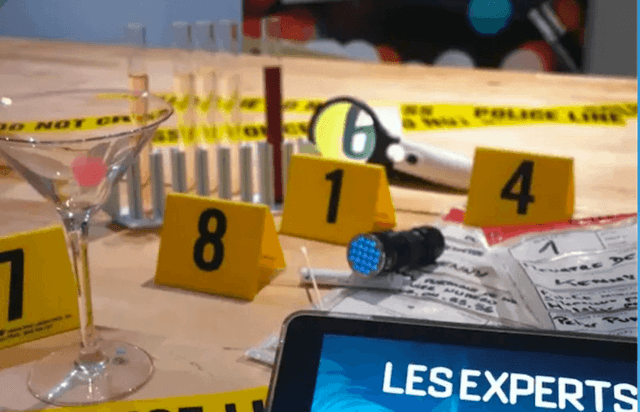 Murder party : les experts