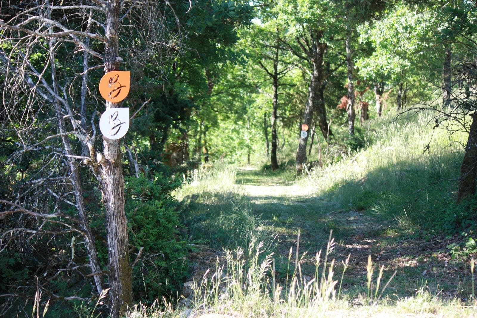 Le Domaine de Baldassé 35