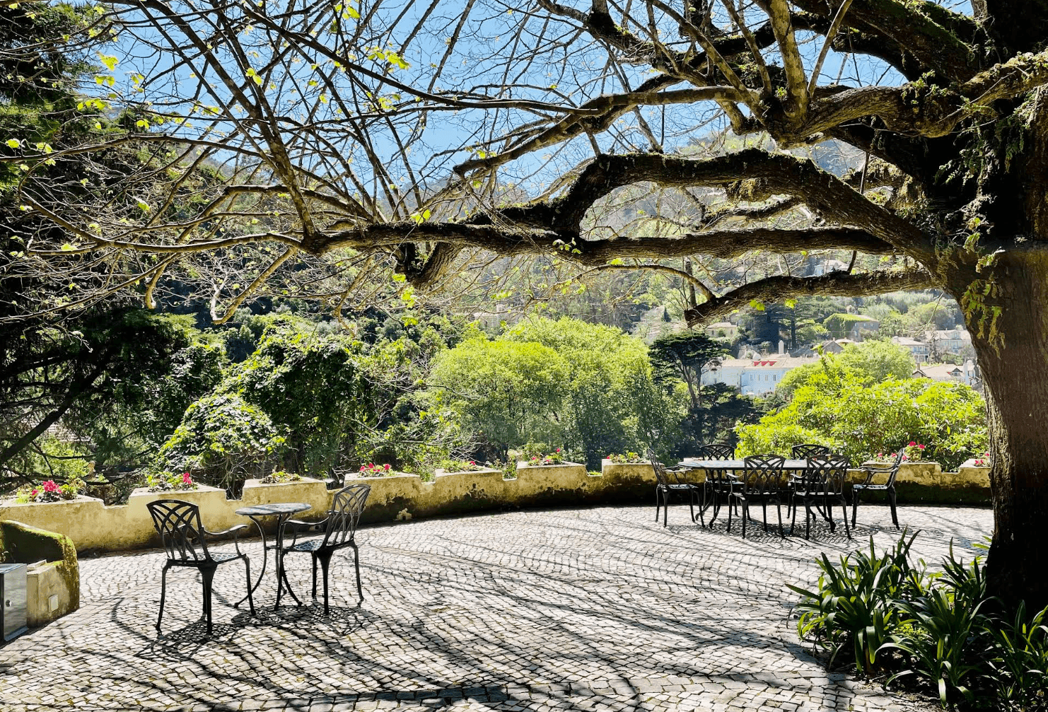 Camélia Gardens 4