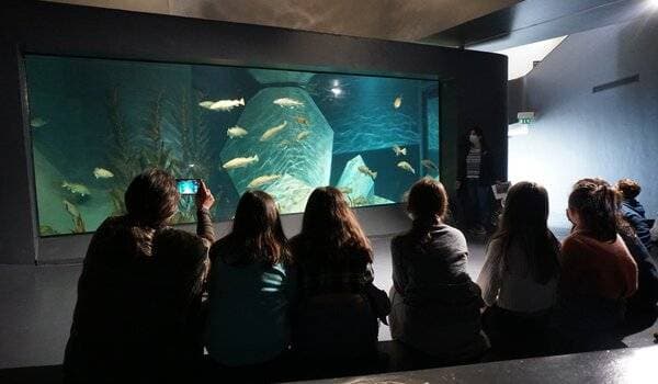 Museu Marítimo de Ílhavo 10