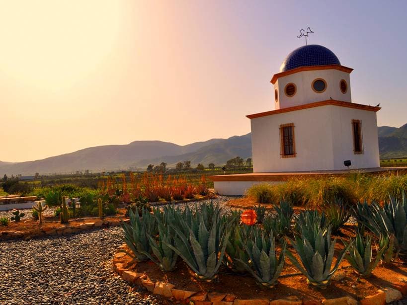 Adobe Guadalupe 19