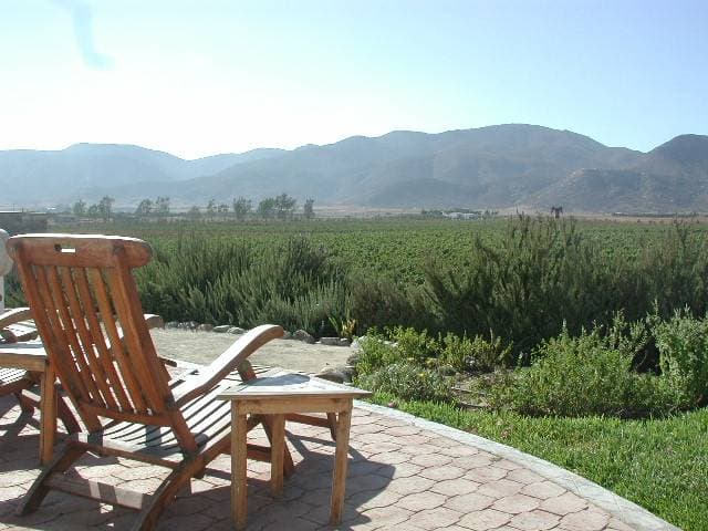 Adobe Guadalupe 12