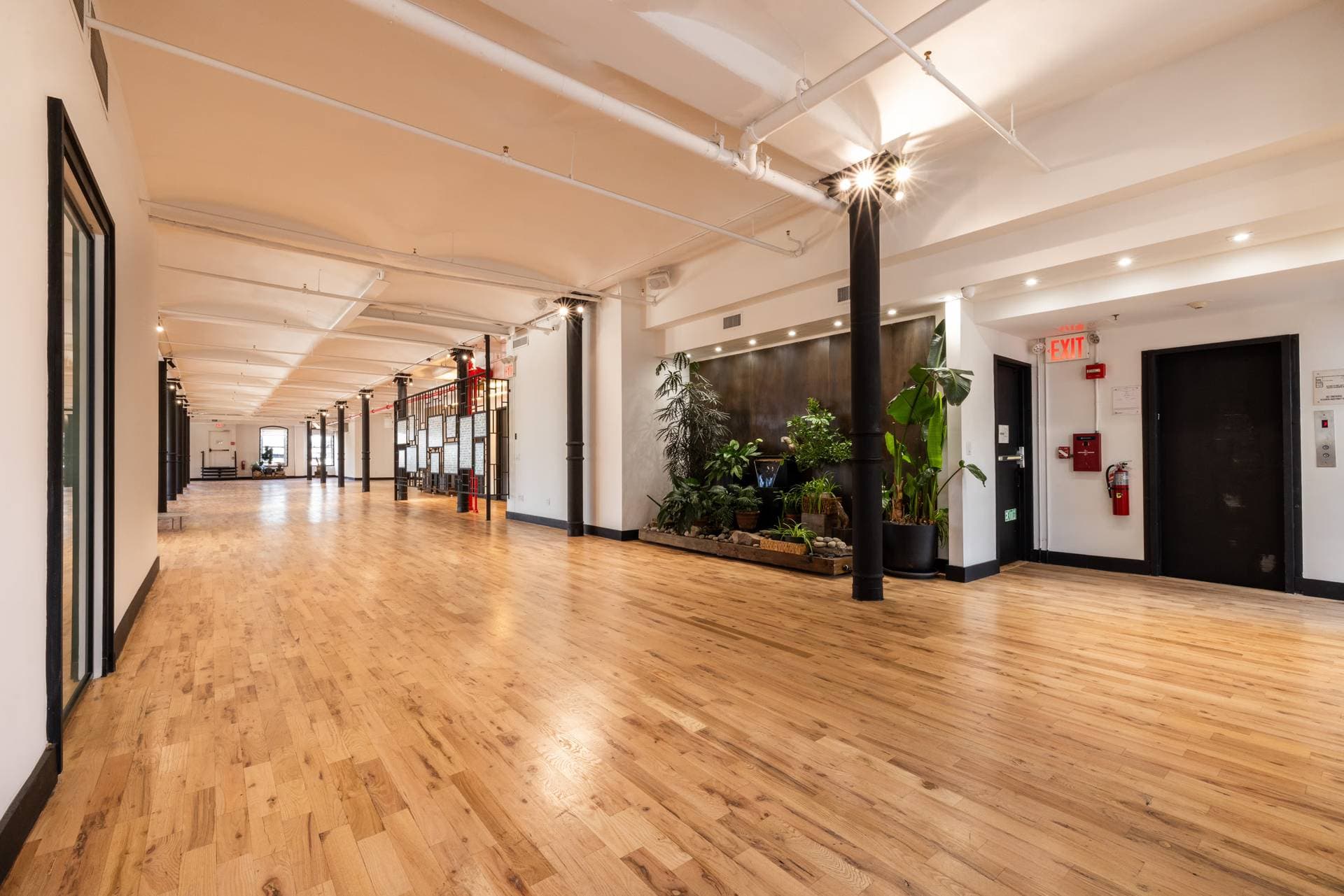 Loft 7 + Rooftop 8