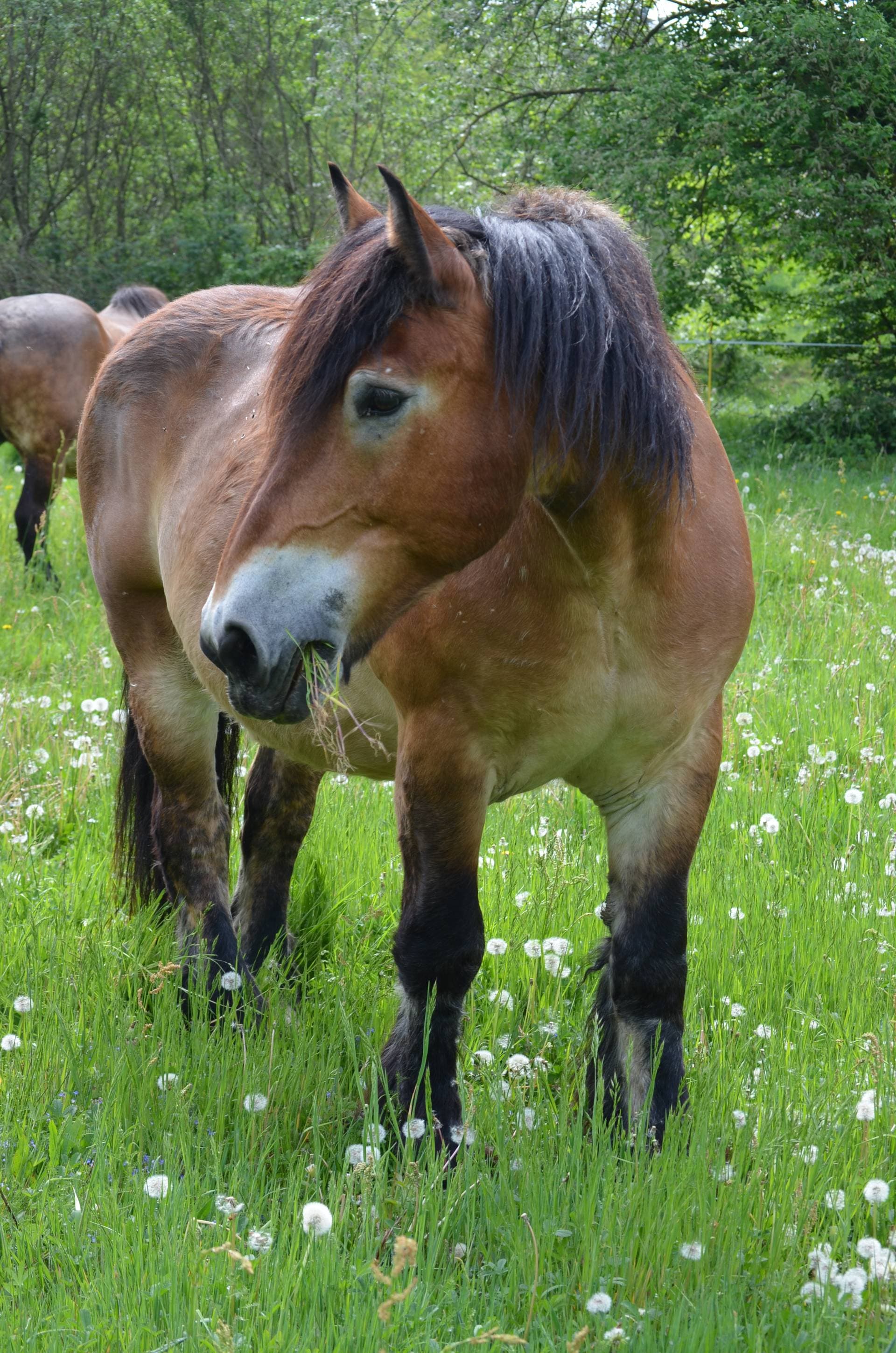 La Tuilerie de Talouan 74