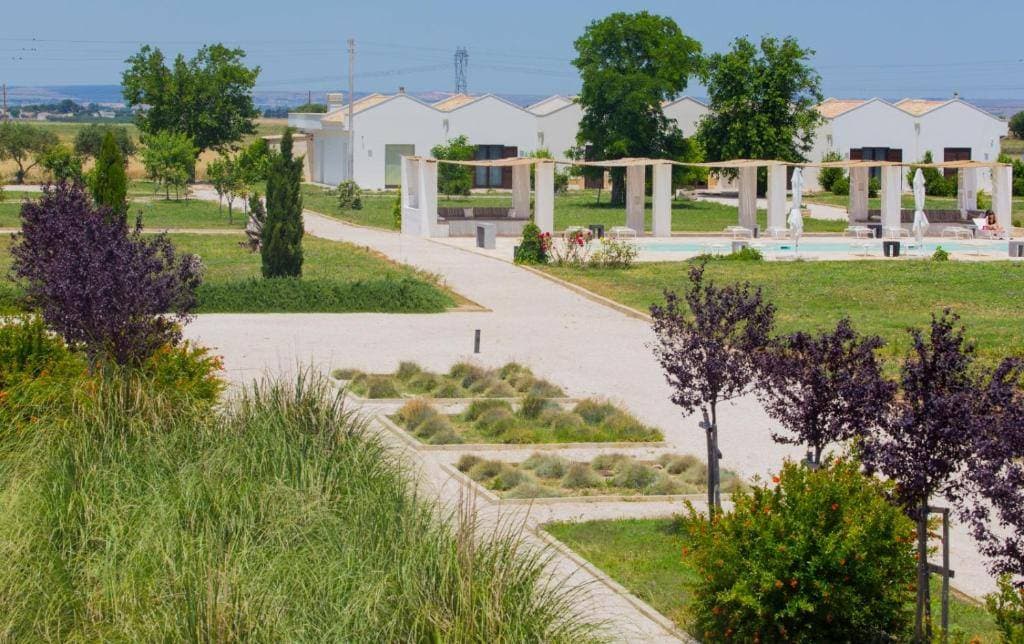 Masseria Fontana di Vite 6