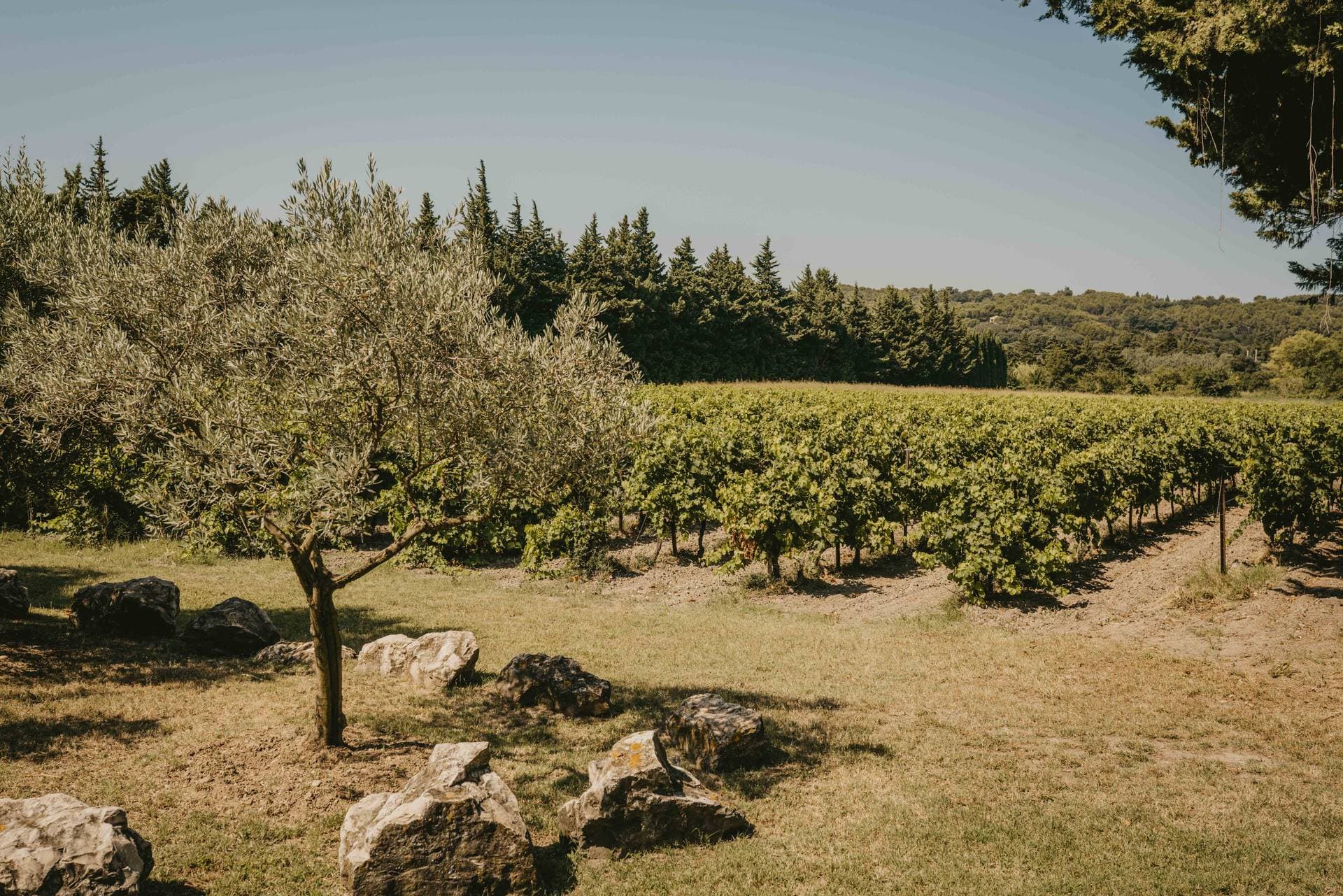 Le Domaine de Blanche Fleur 22