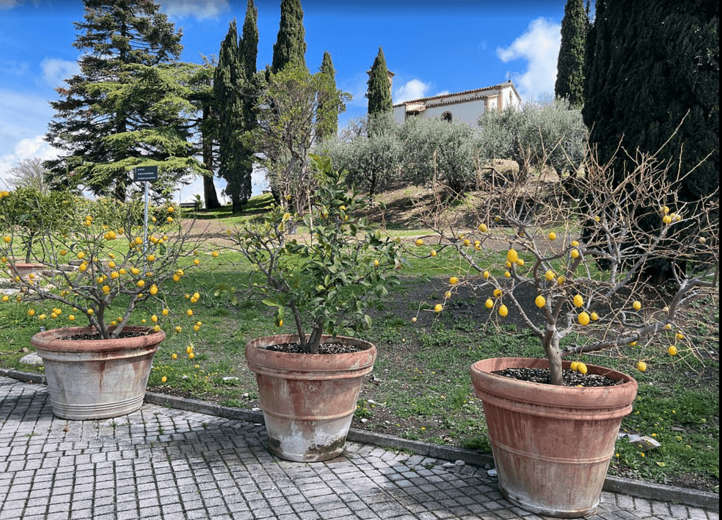 Enoteca Monte Fasolo 8