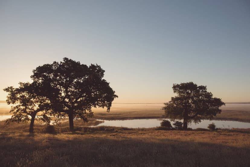 Elmley Nature Reserve 6