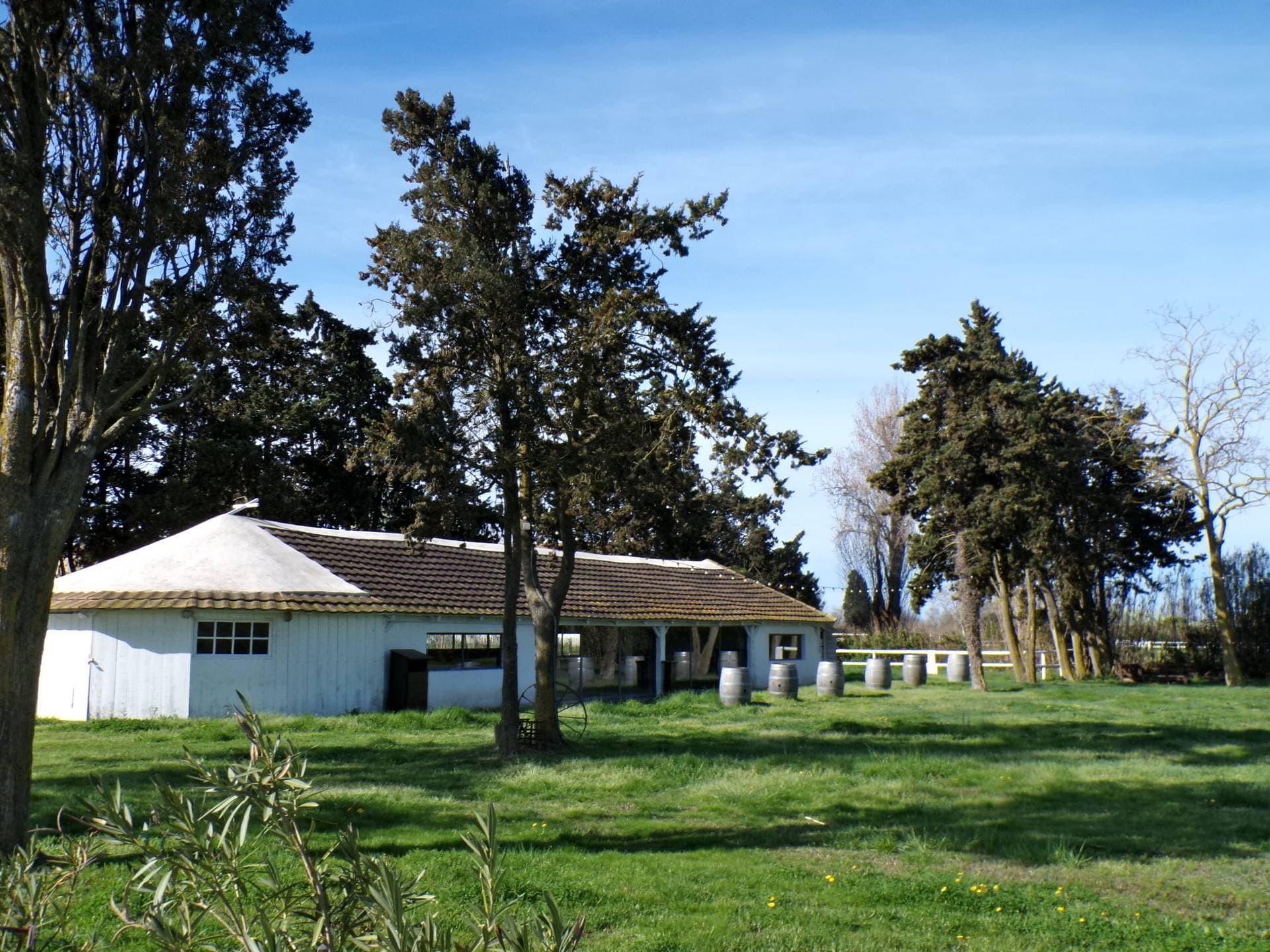 Domaine Le Sauvage 6