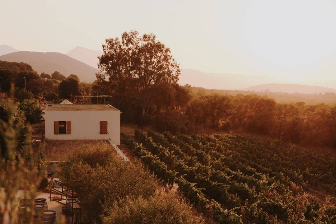 Domaine Alzipratu - Parà Event 2