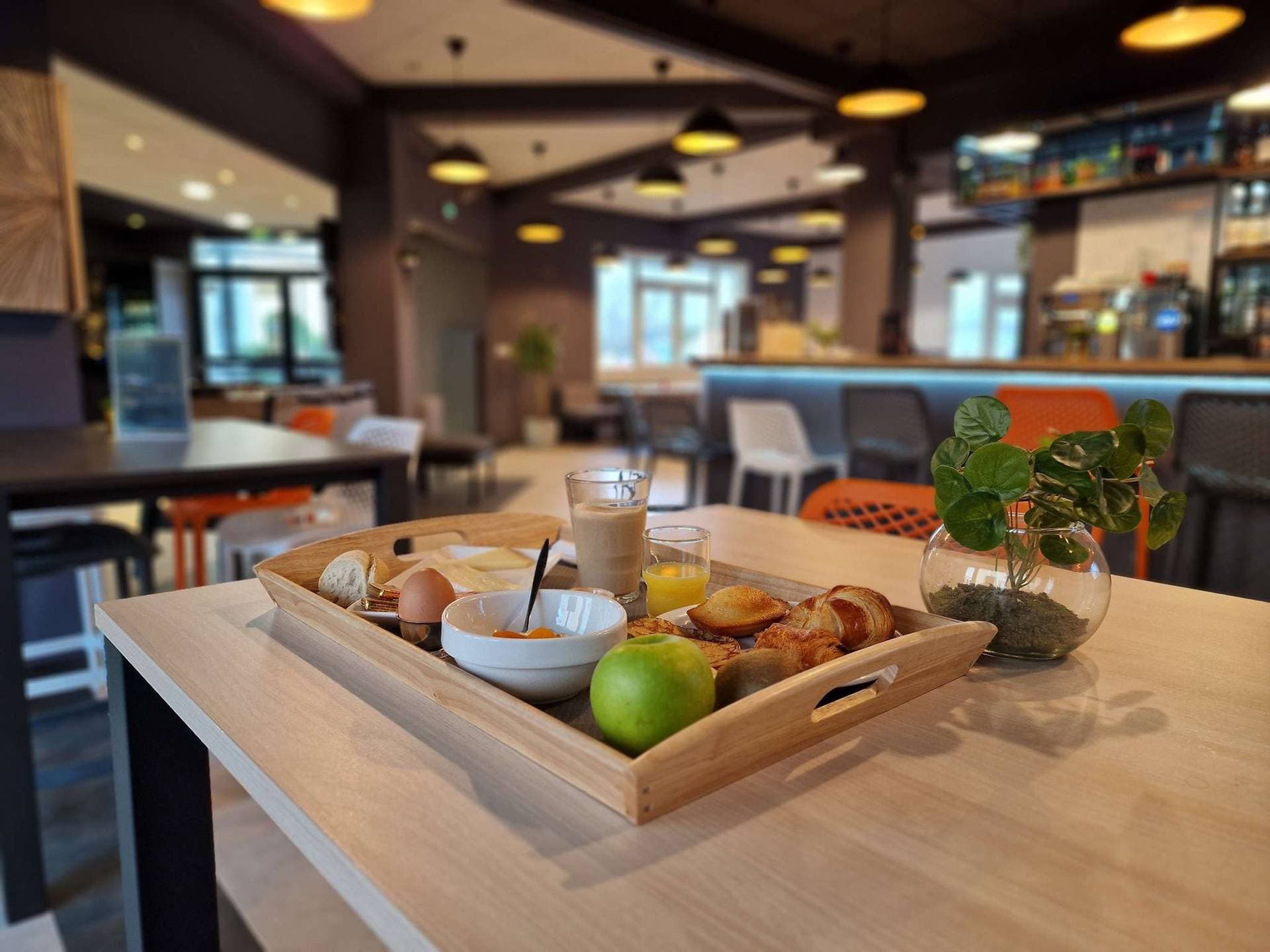 Ibis Rambouillet 10