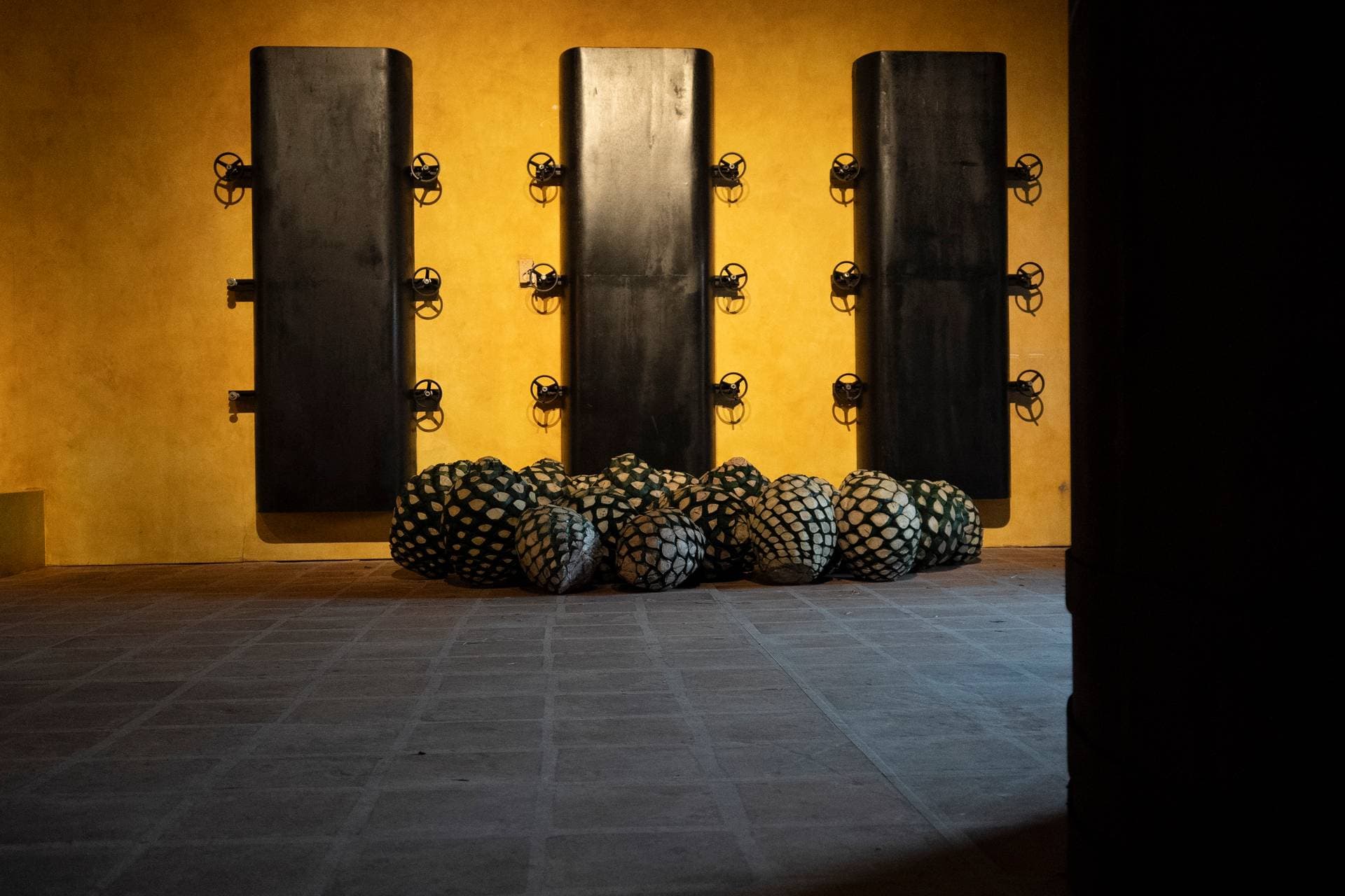 Tequila Town Miami 14