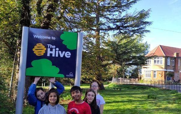 The Hive 6