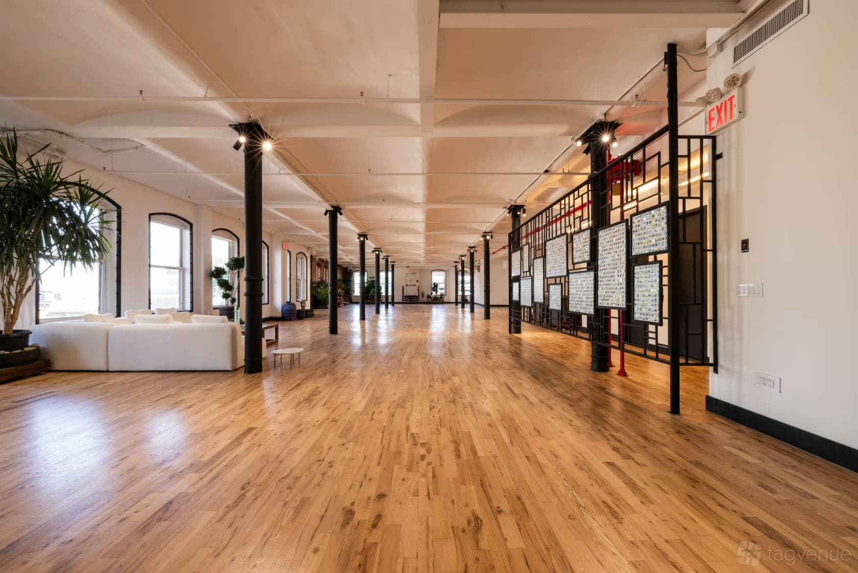 Loft 7 + Rooftop 2