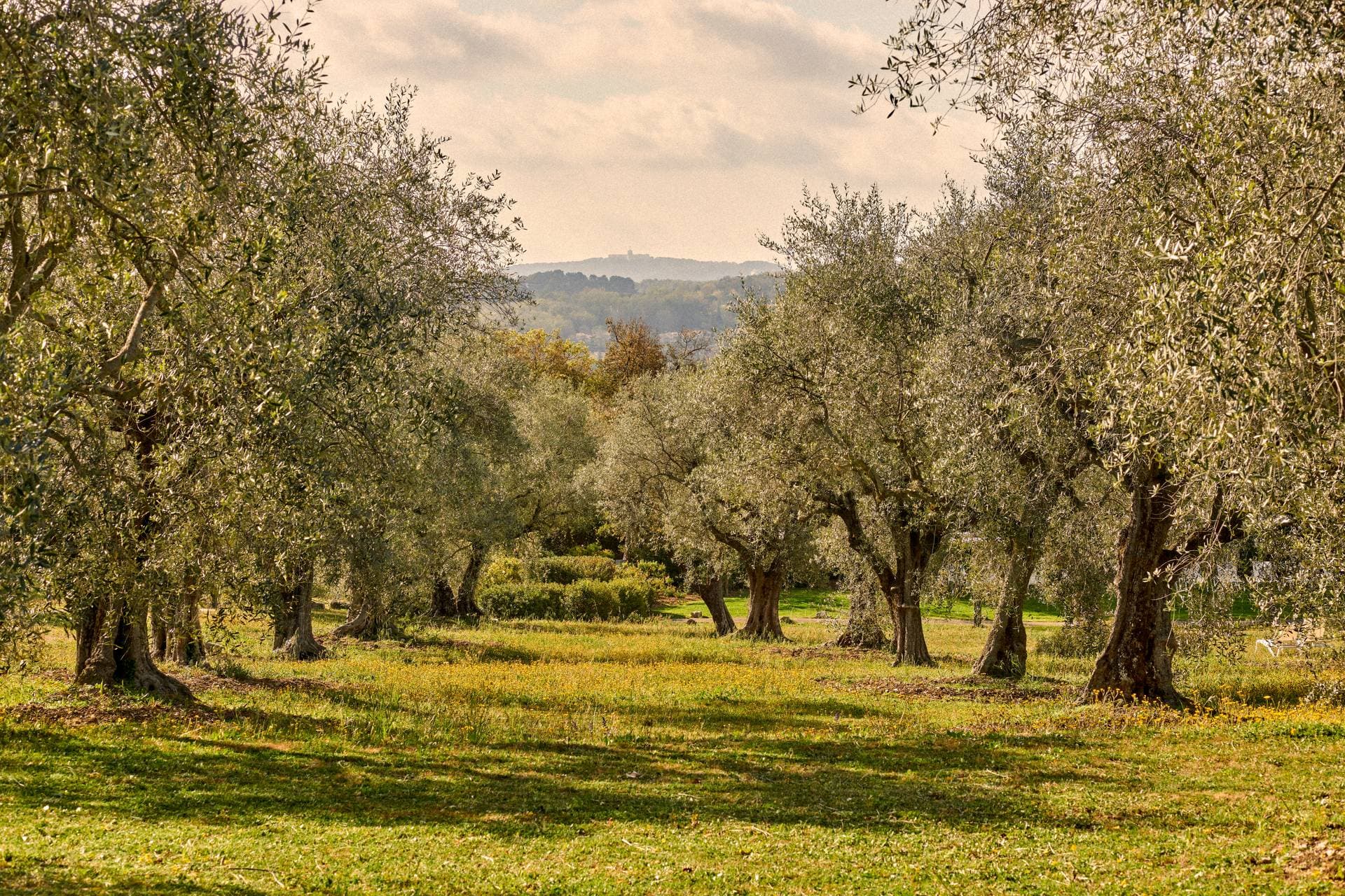Club Med Opio en Provence 5