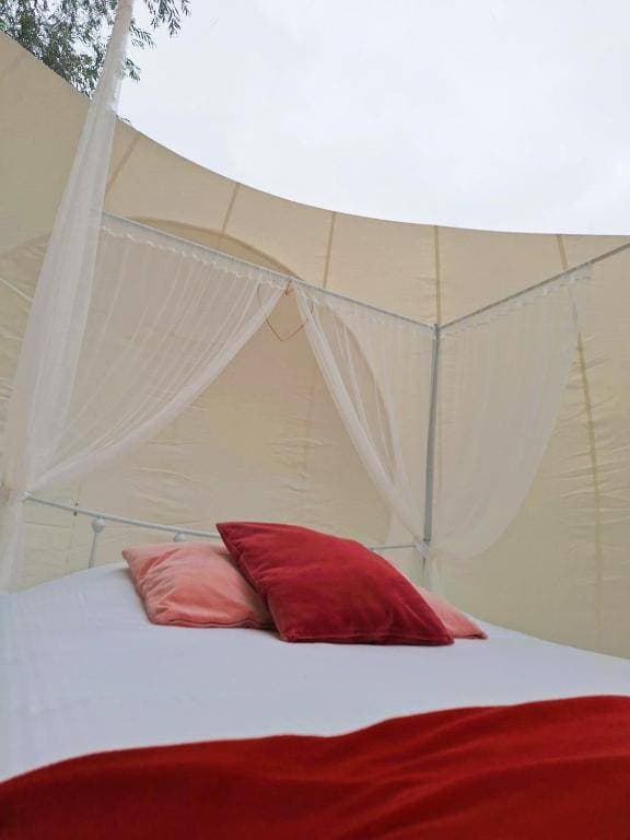 Noortweghe glamping 7