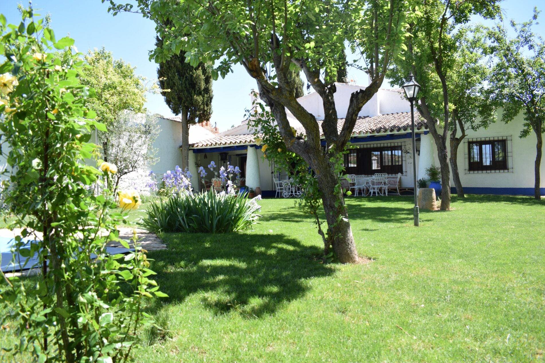 Venta del Celemín 16
