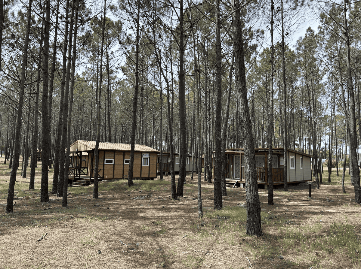 Camping São Miguel 4