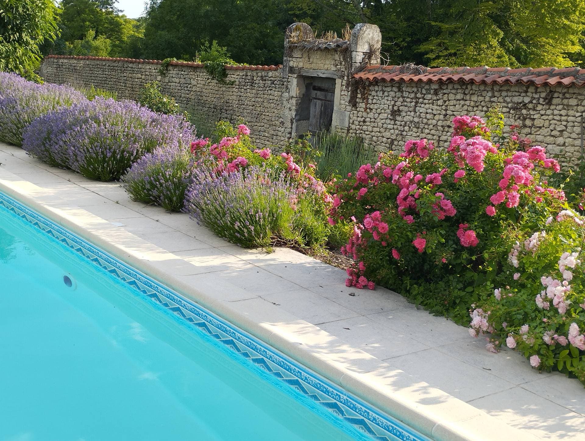 Logis du Paradis 40