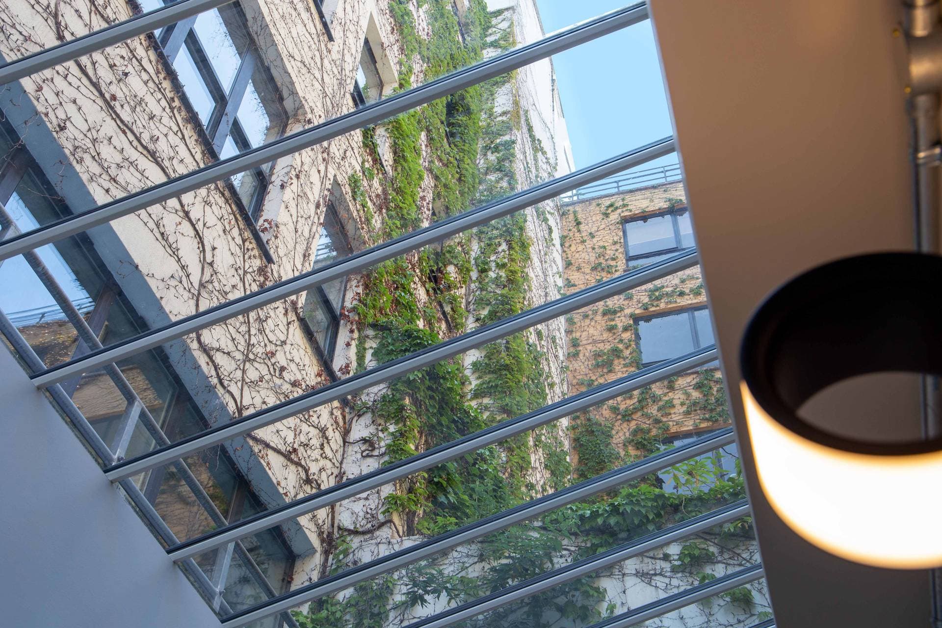 The Lightwell (Skylight)