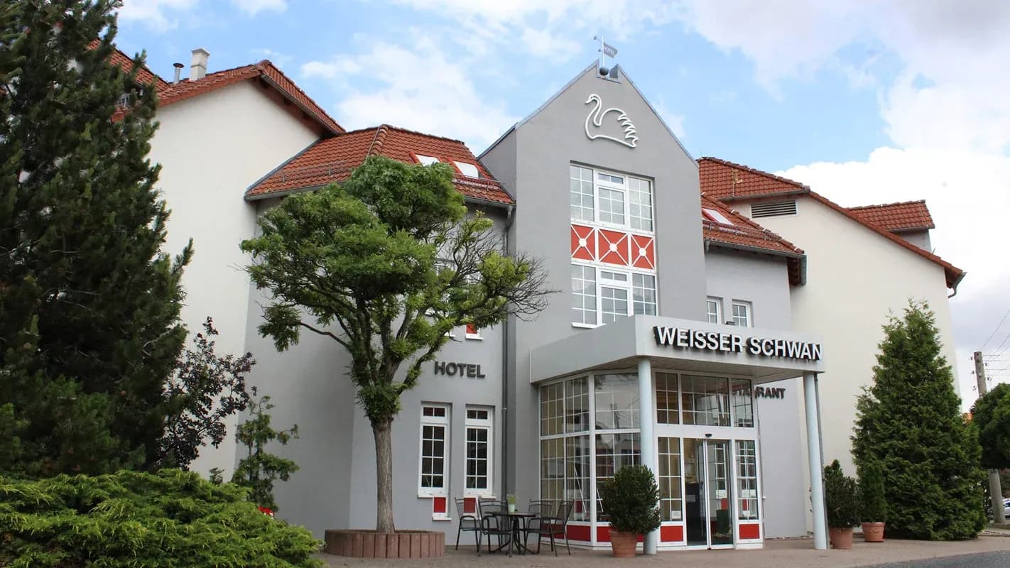 Weißer Schwan Erfurt 1