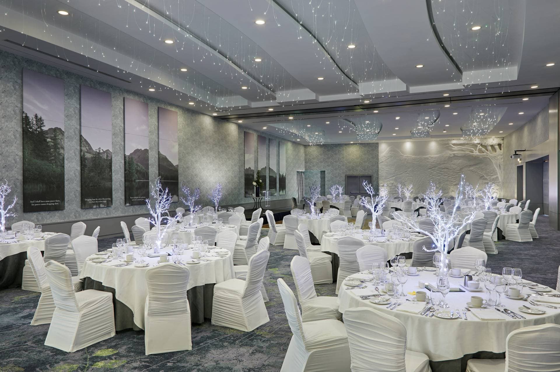 Crowne Plaza Hotel Dublin-Blanchardstown 16
