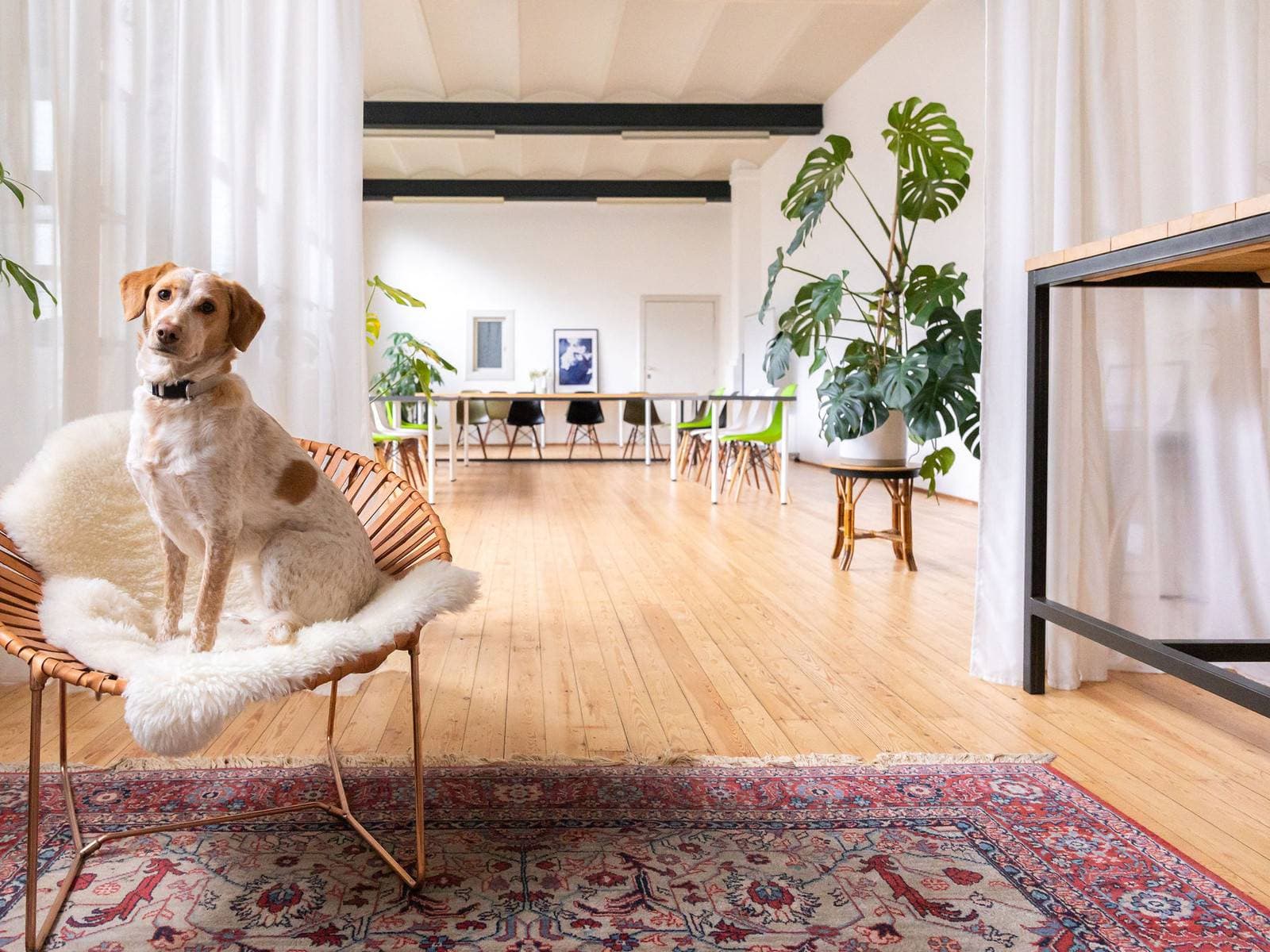 FRIDAY COWORK & MEETINGROOM in Antwerp 8