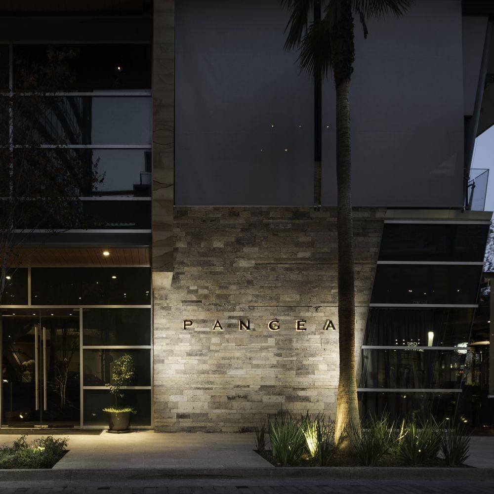 Pangea 12