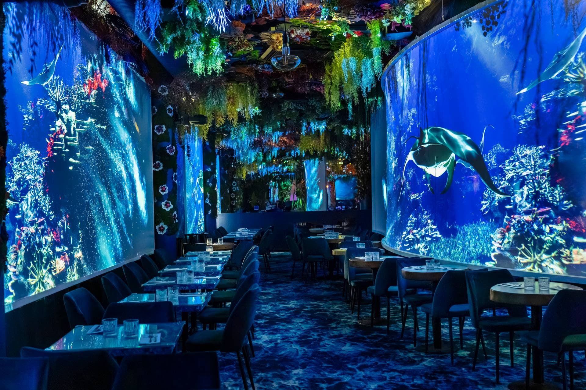 Under the Sea Issy by Ephemera  11