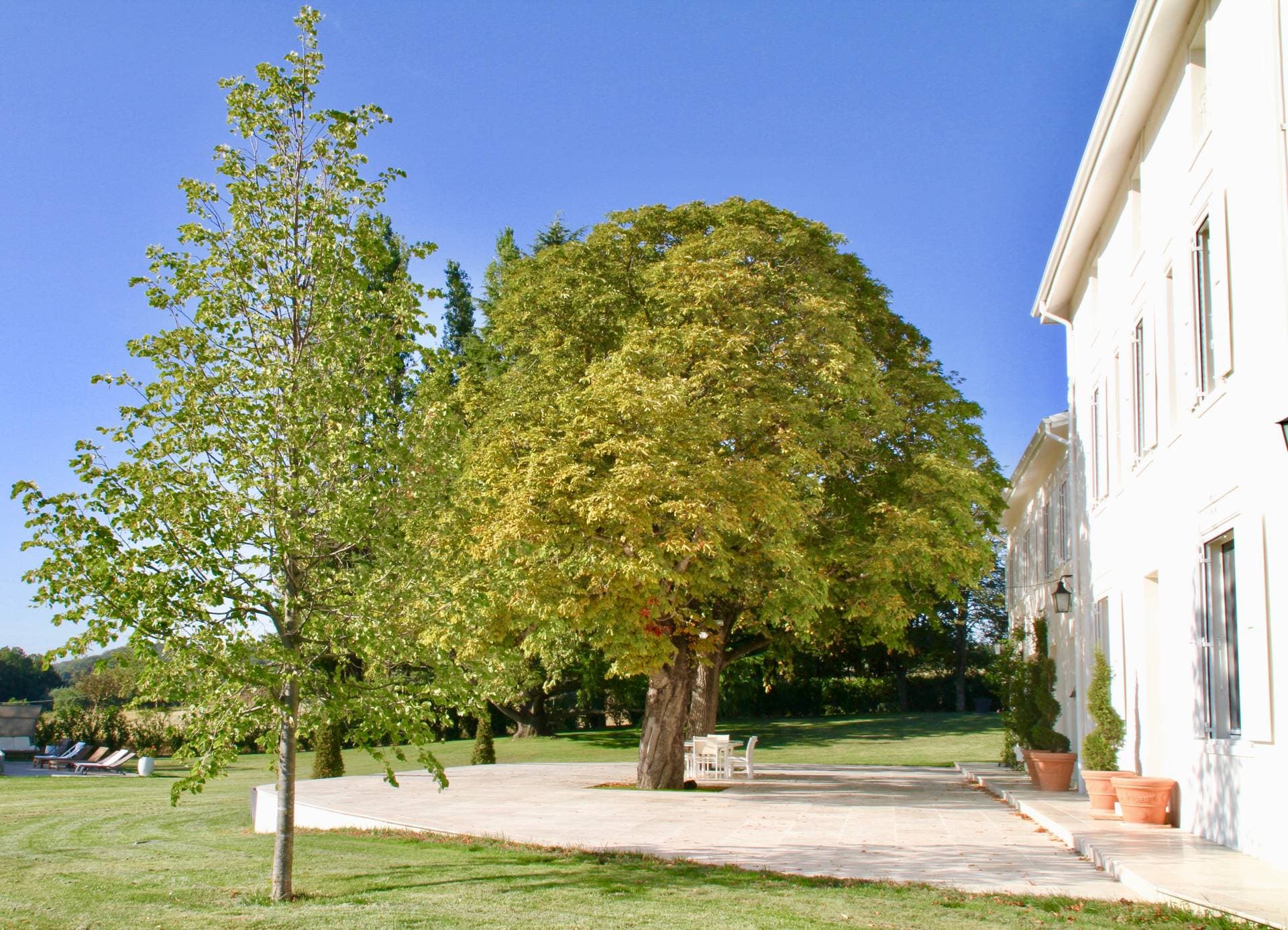 Domaine de Bonaveau 5