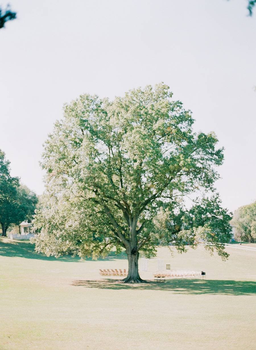 Kuhs Estate & Farm 12