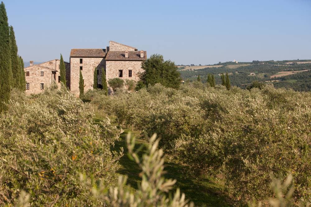Hotel Tenuta di Canonica 19
