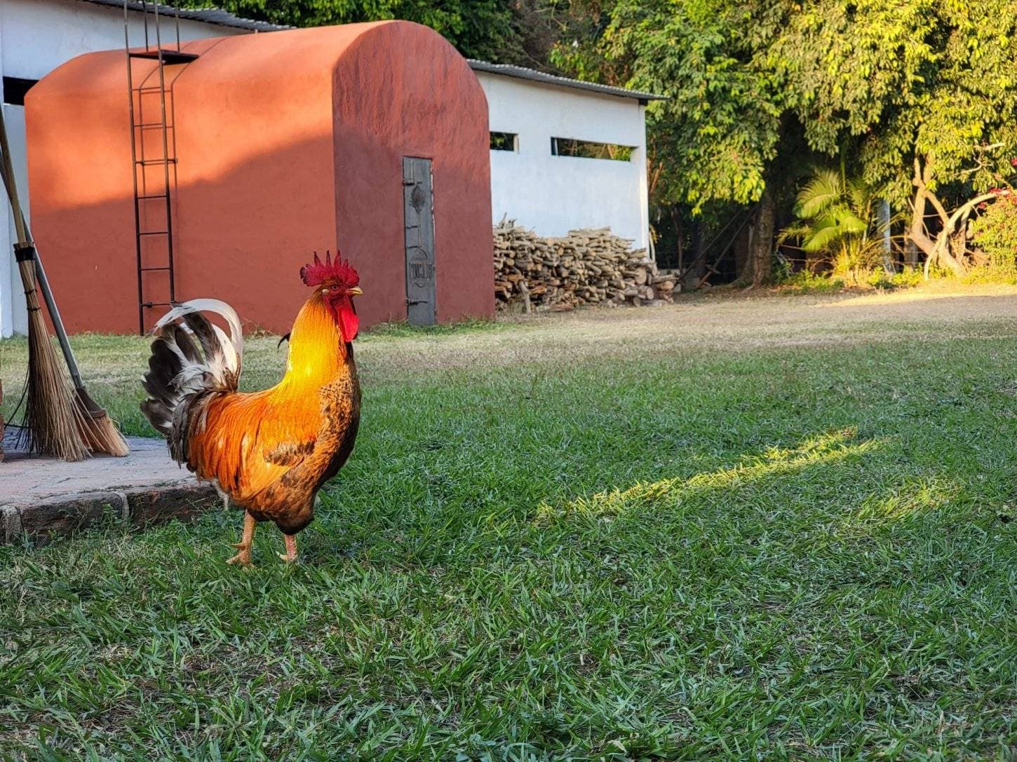 Finca 18 7