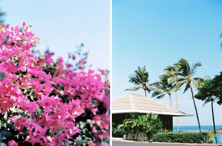 Merriman's Kapalua 2
