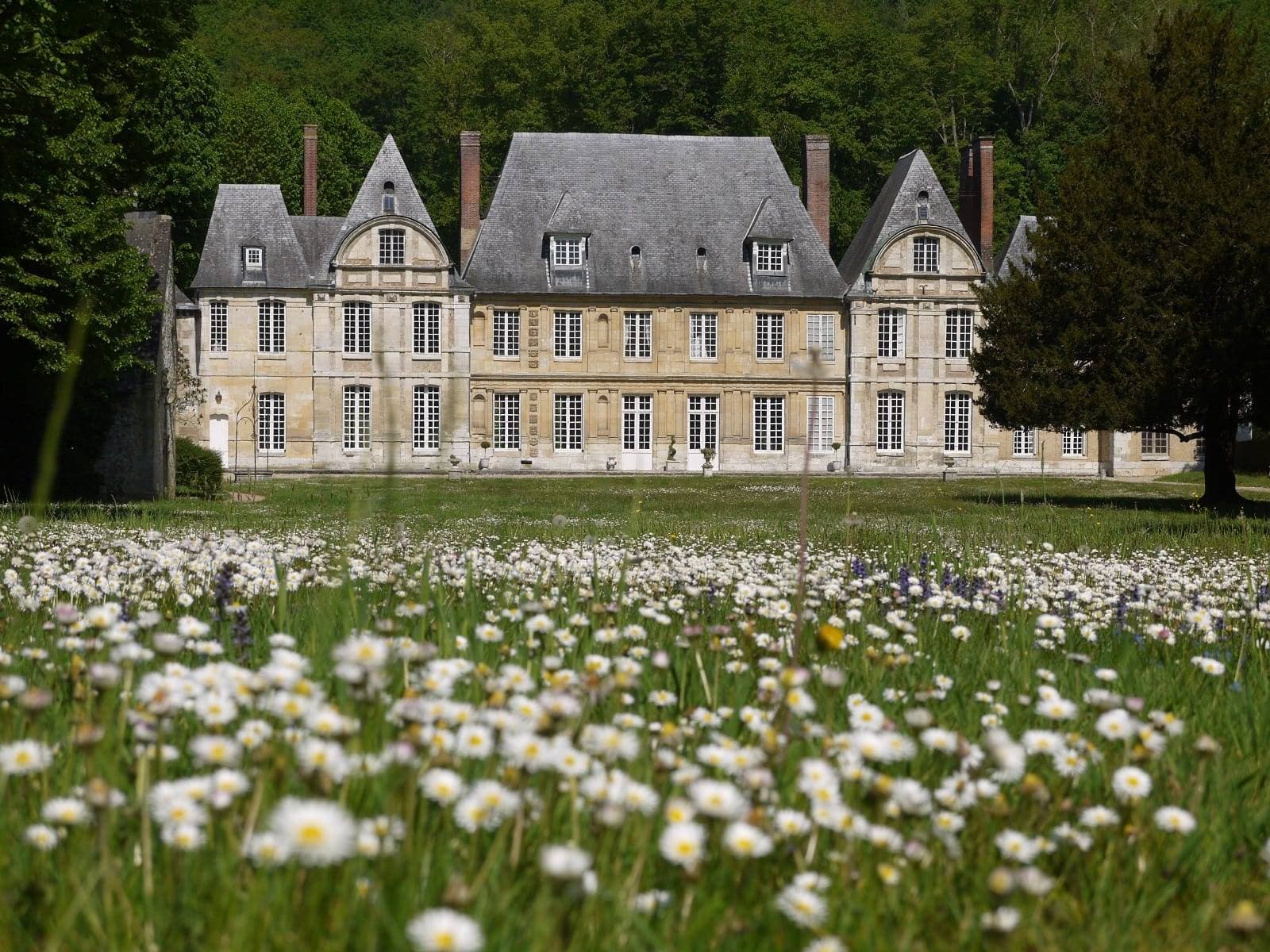Château du Taillis 1