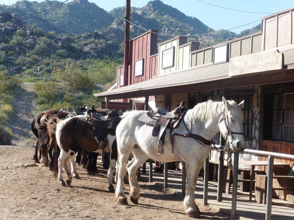 Arizona-Horses Ranches