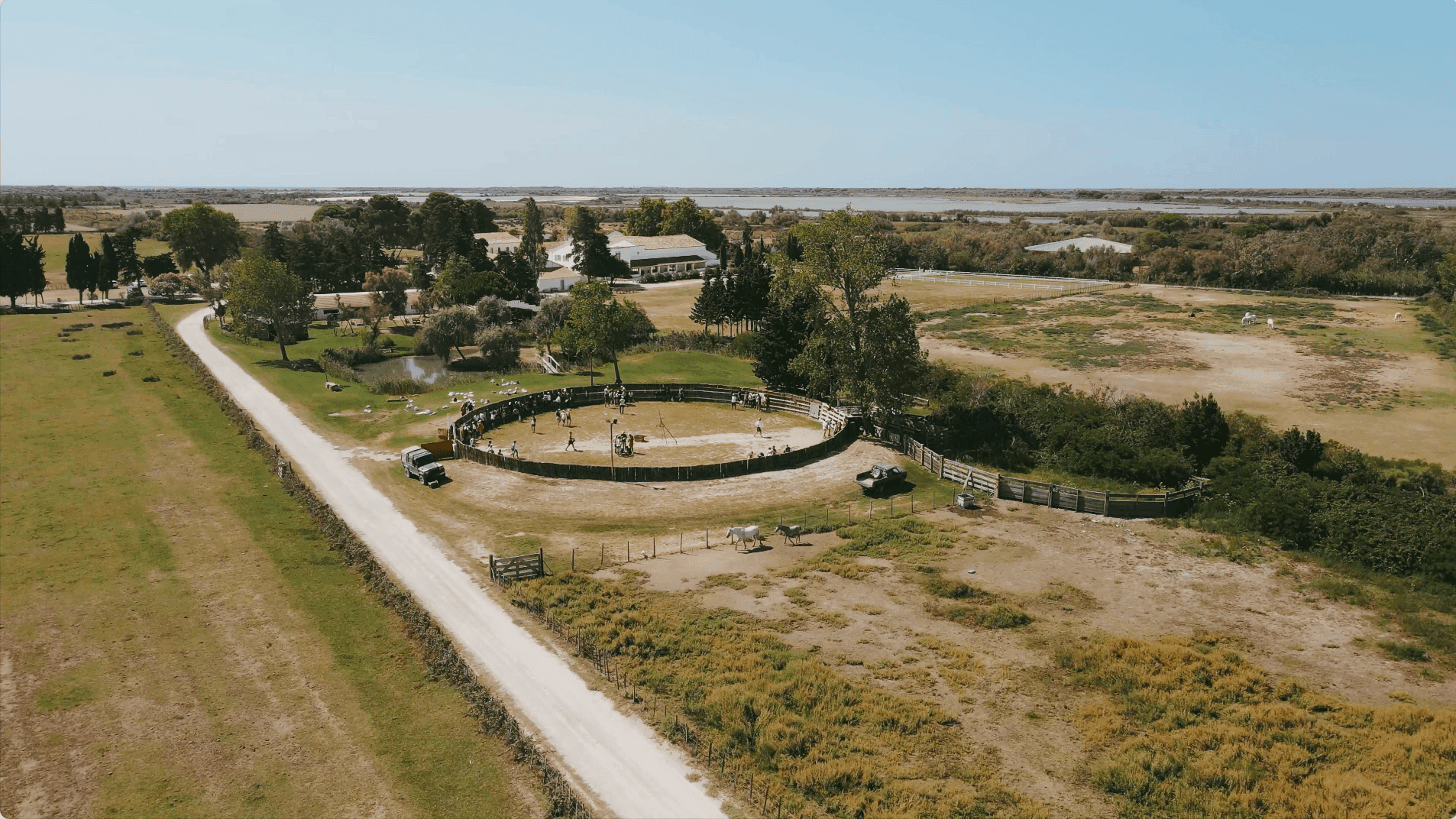 Domaine Le Sauvage 7