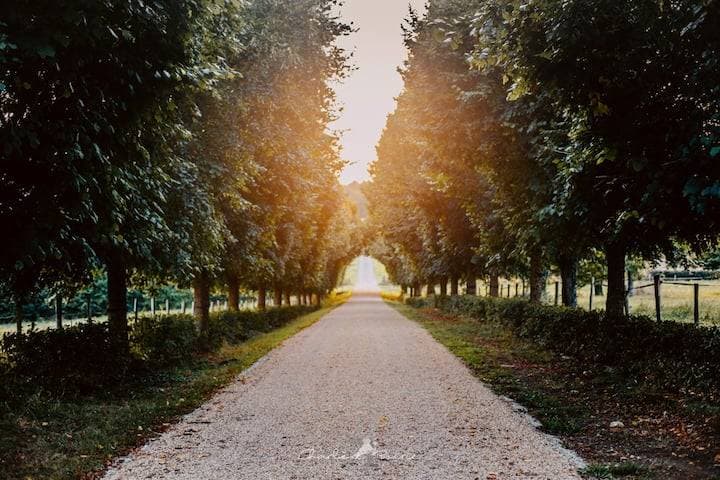 Le Domaine de la Revardière 13