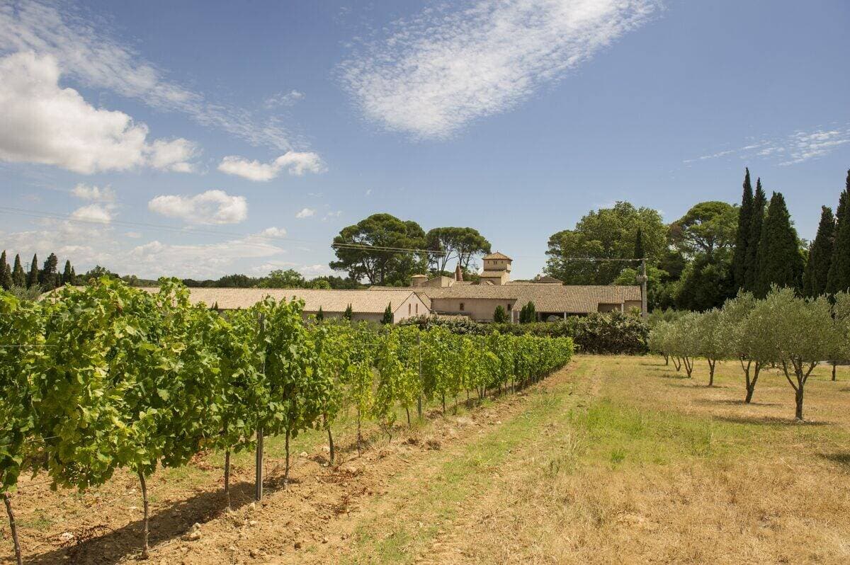 Le Domaine de Saint Martin La Garrigue 40