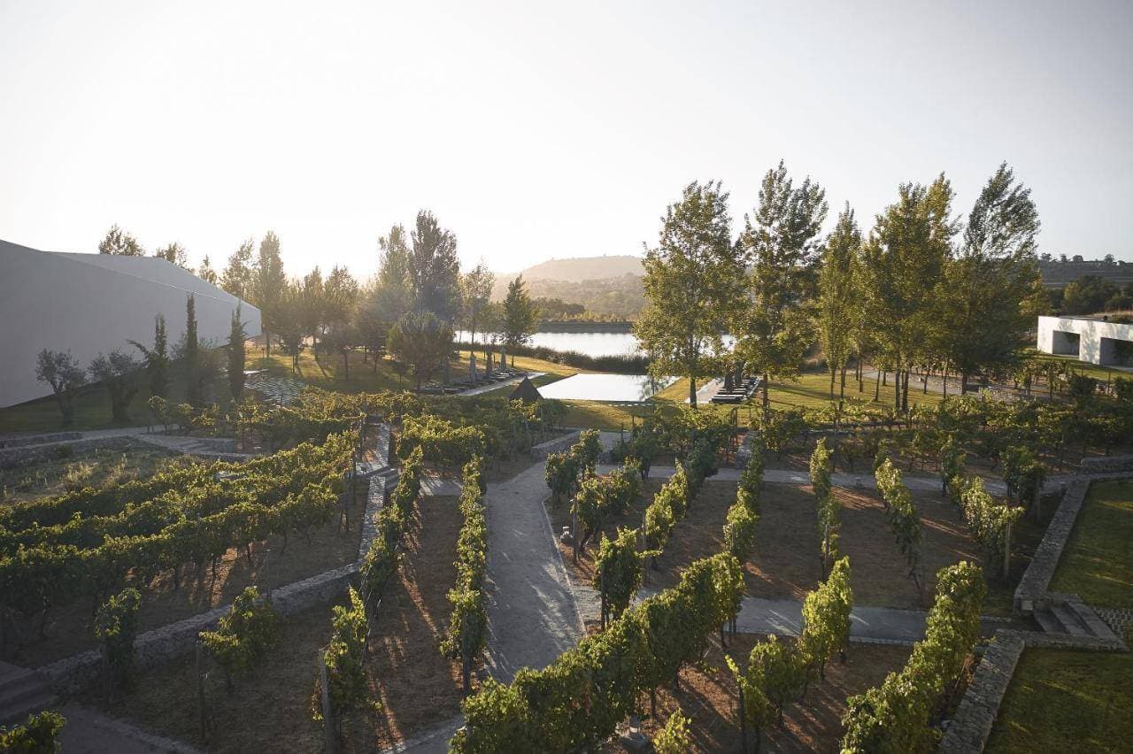 L'and Vineyards 28