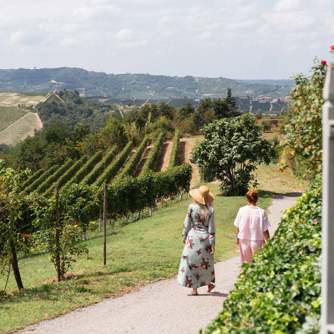 Tenuta Bricchi 18