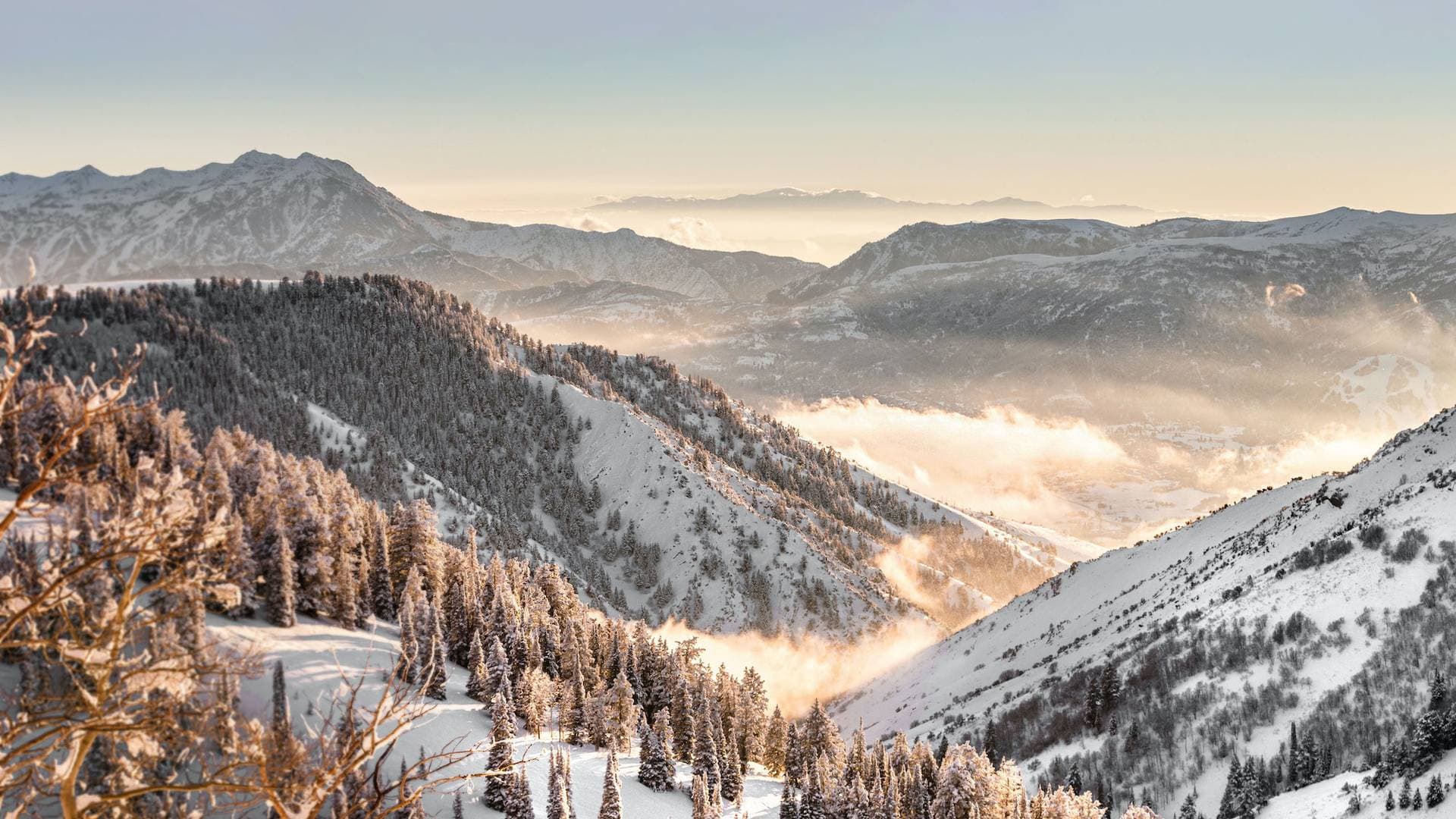 Goldener Hirsch, Auberge Resorts Collection 29