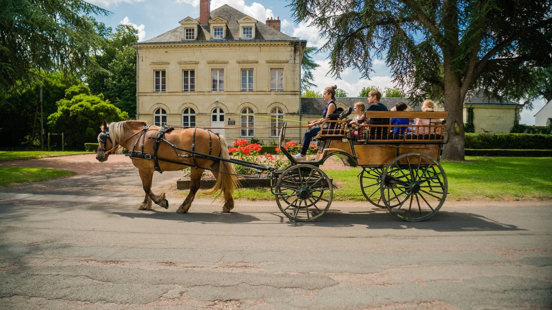 Le Domaine de Roiffé 23