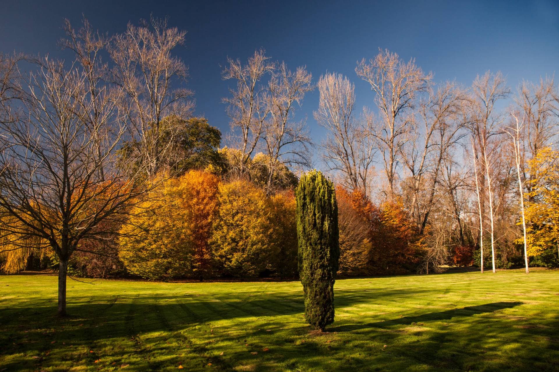 El Jardín de Carrejo 6