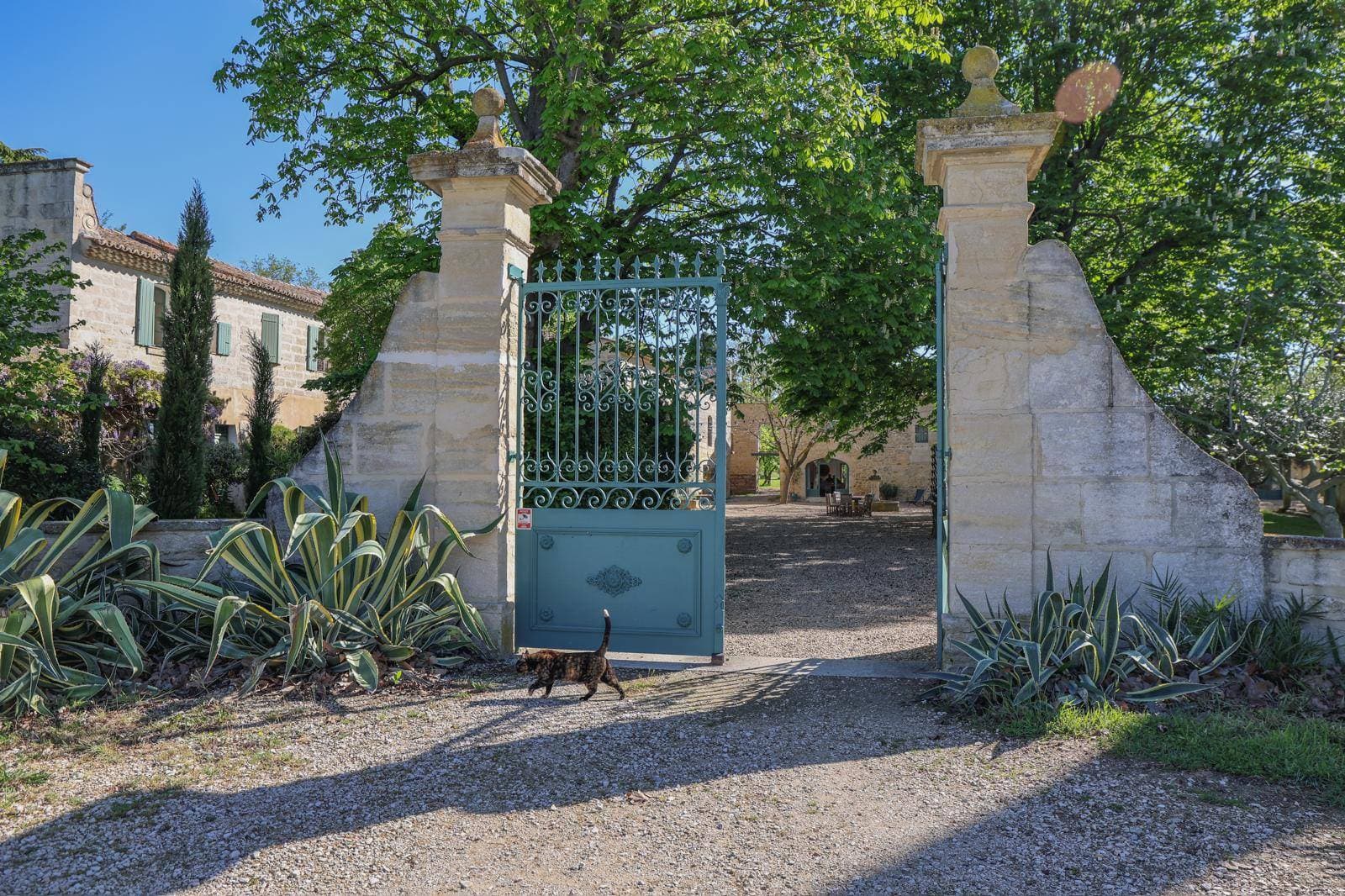 Domaine Arbaud 101