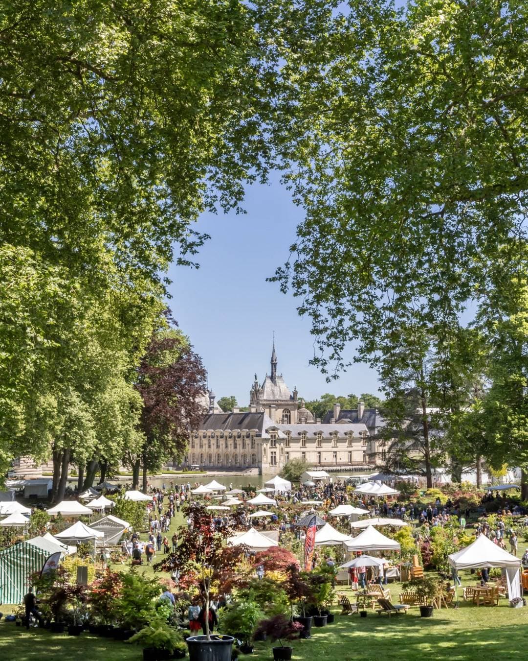 Château de Chantilly 12