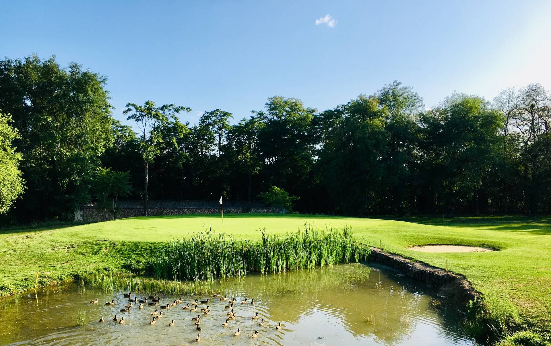 Le Domaine de Roiffé 36