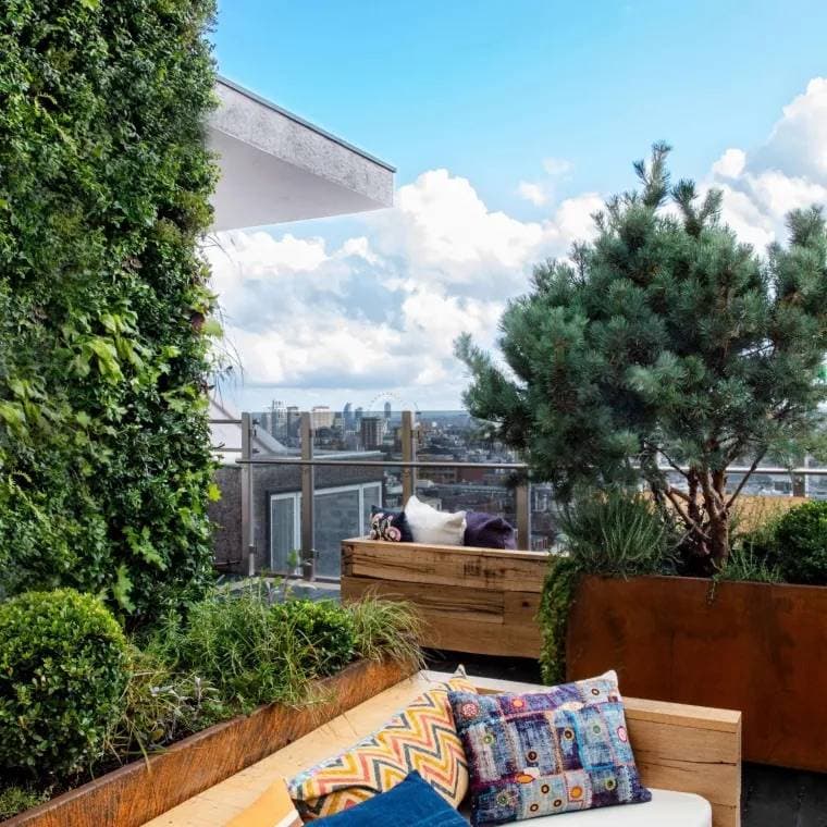 The nest and Roof Terrace