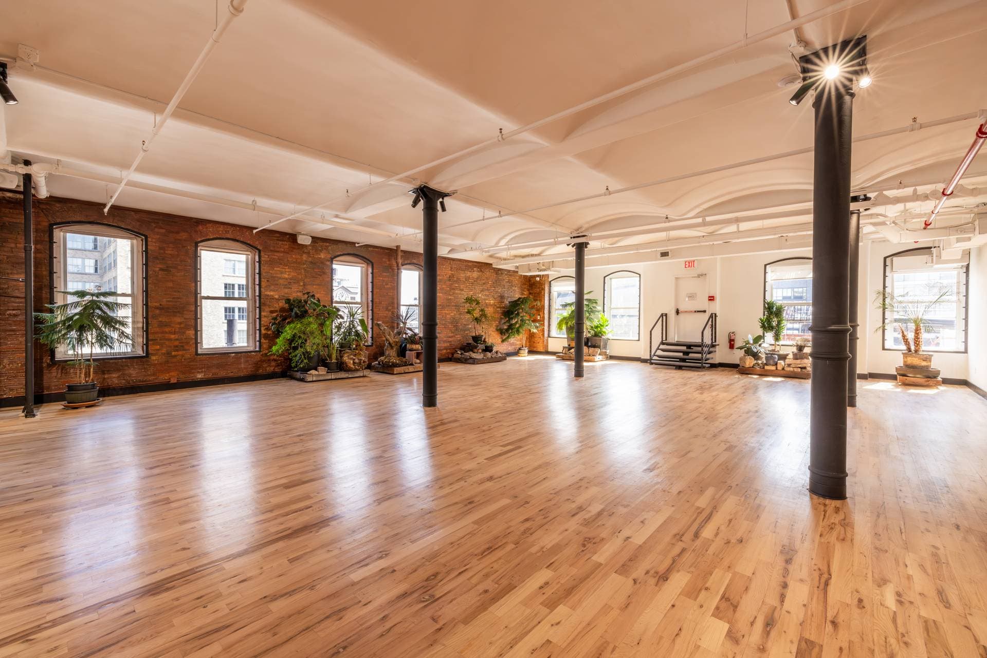 Loft 7 + Rooftop 1