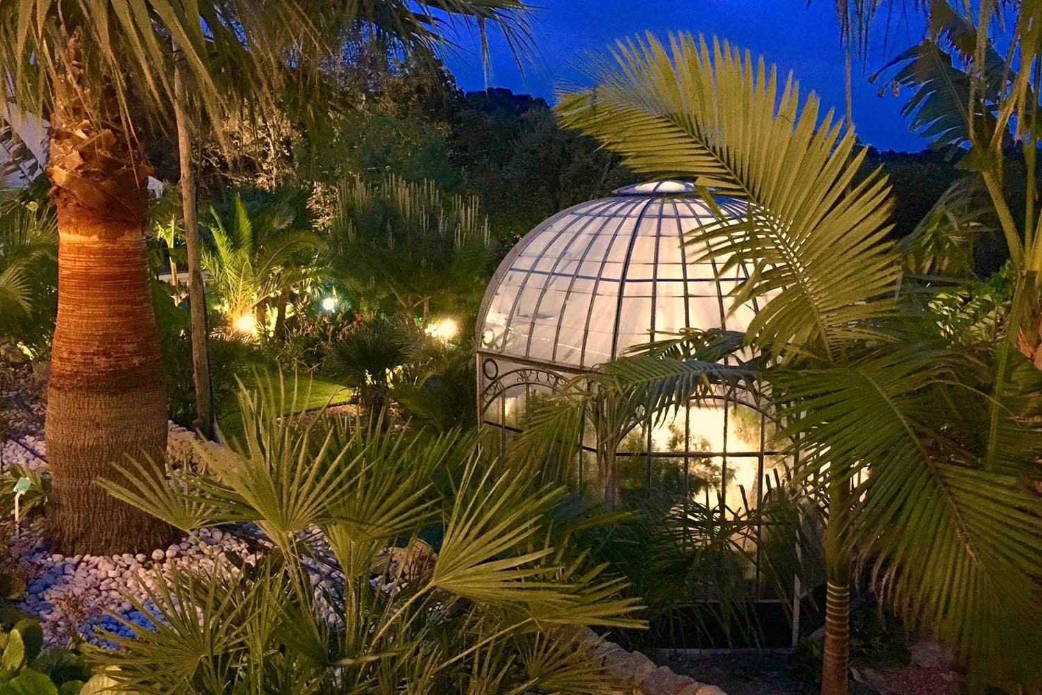 Les Pins Penchés 15